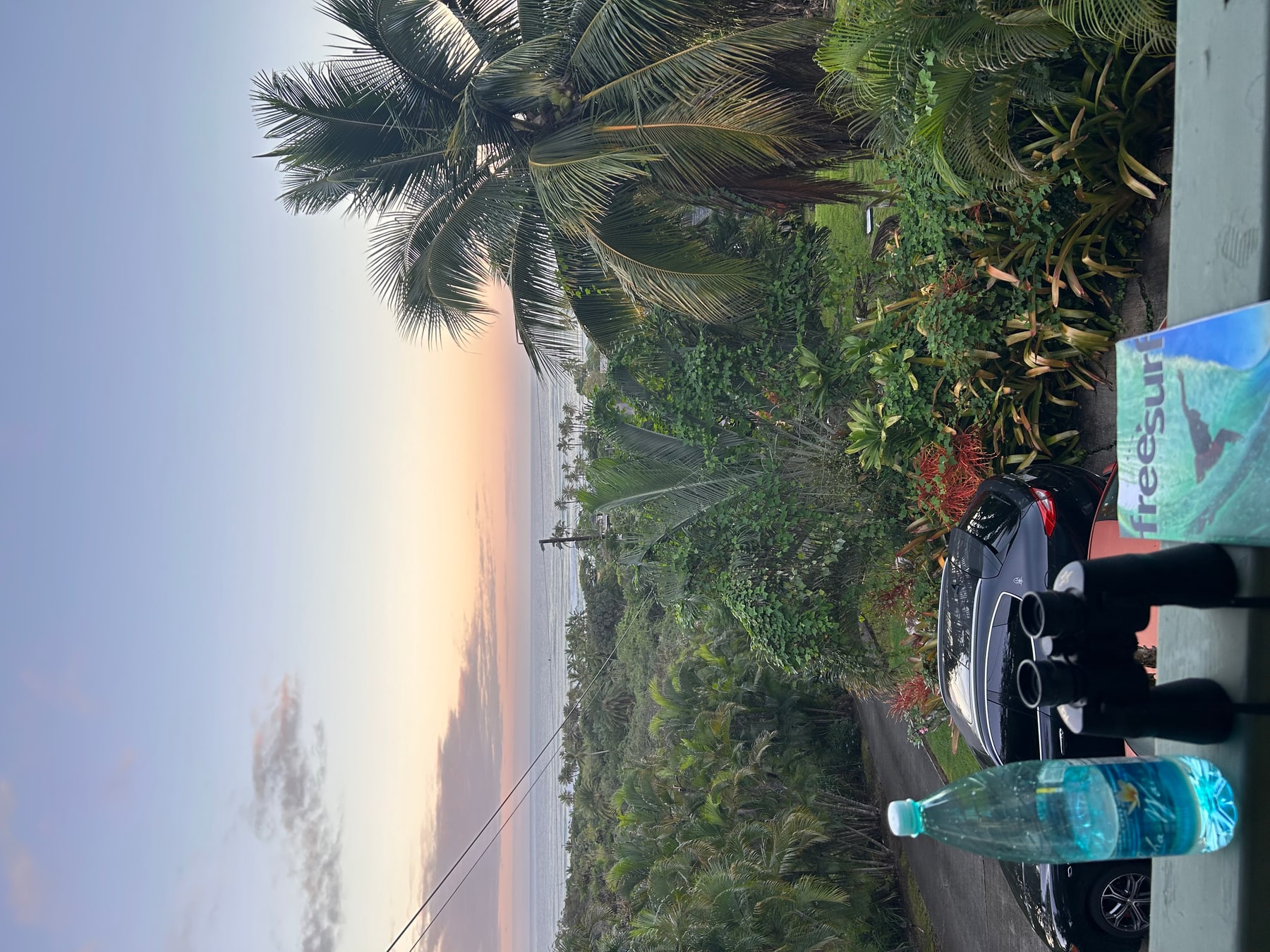 North Shore view through palms at sunrise